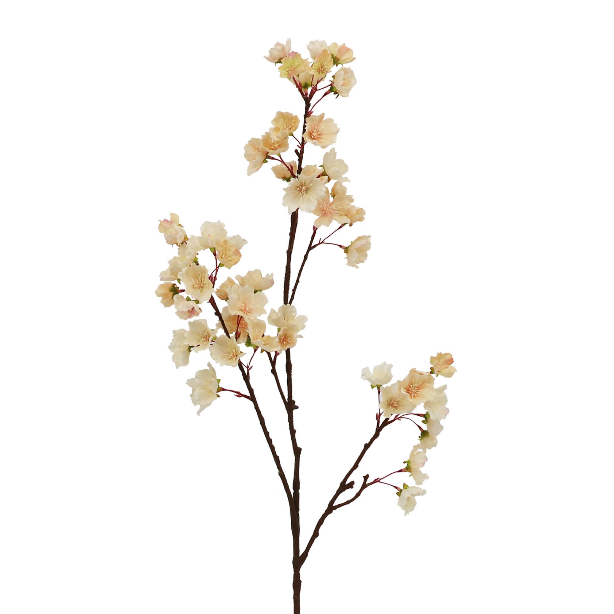 39" Blush Cherry Blossom Stem by Ashland®